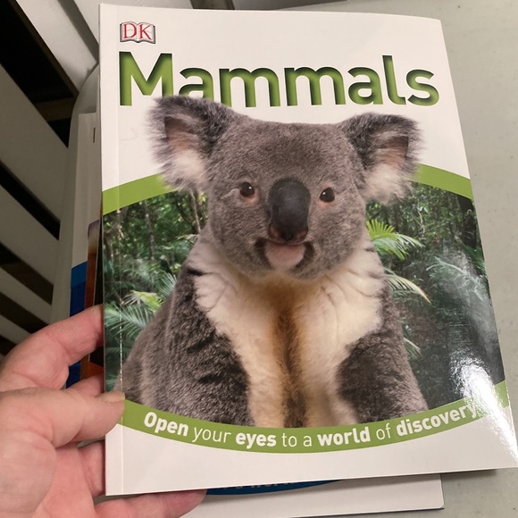 DK Animal Kingdom Set of 4 Animal Books - Picture 7 of 7